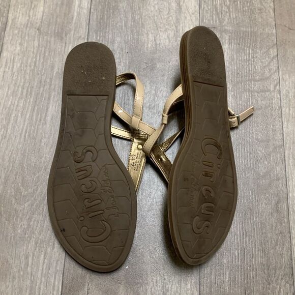 Womens Sam Edelman Circus Cayden Thong Strap Sandals - Picture 5 of 6